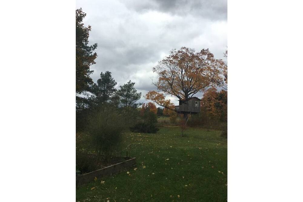 Photo of Outdoor in West Grey