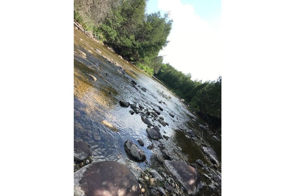 Photo of Outdoor in West Grey
