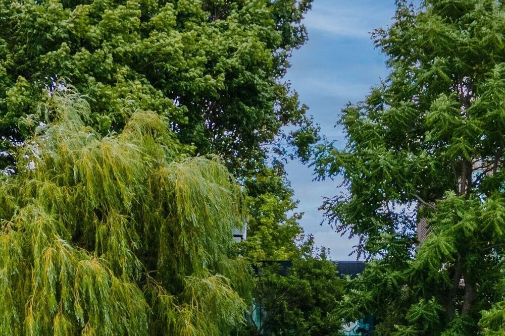 Photo of Outdoor in New Toronto