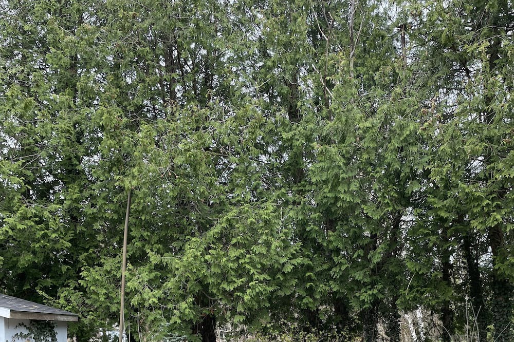 Photo of Outdoor in Southampton
