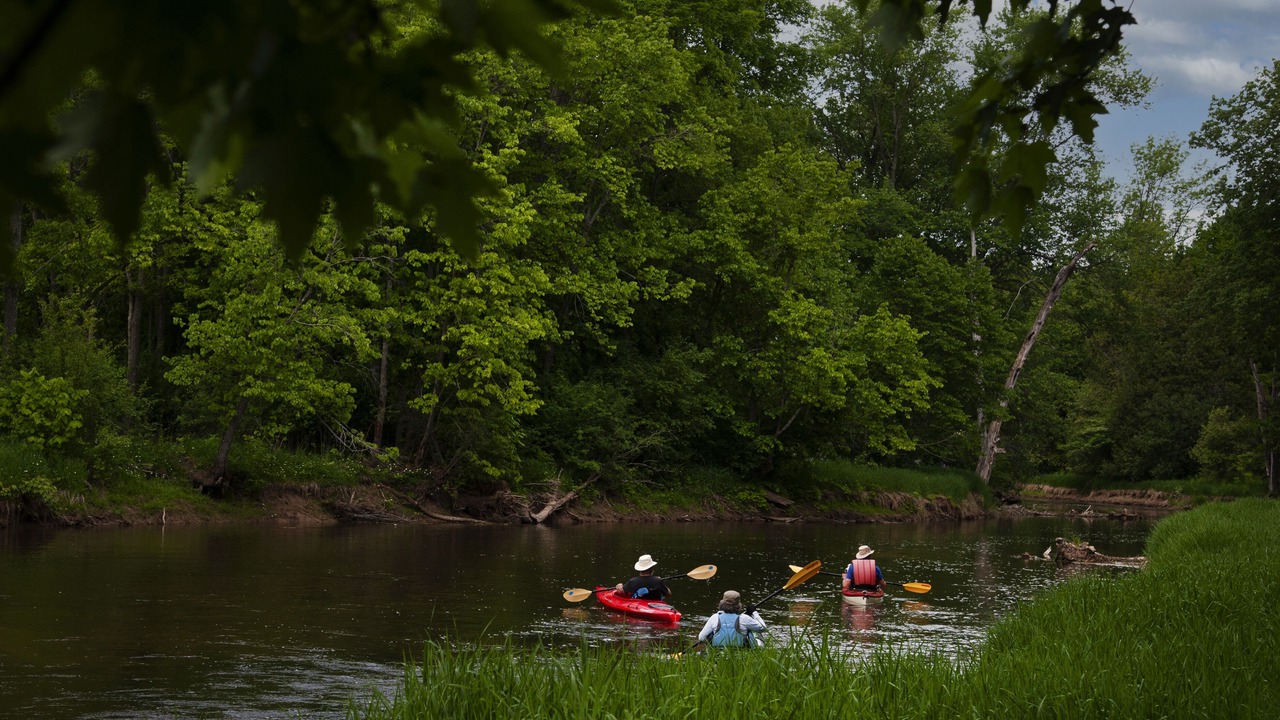 Photo of Outdoor in Grey Highlands