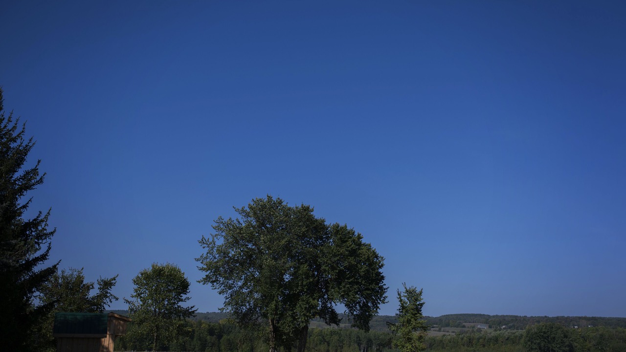 Photo of Outdoor in Grey Highlands