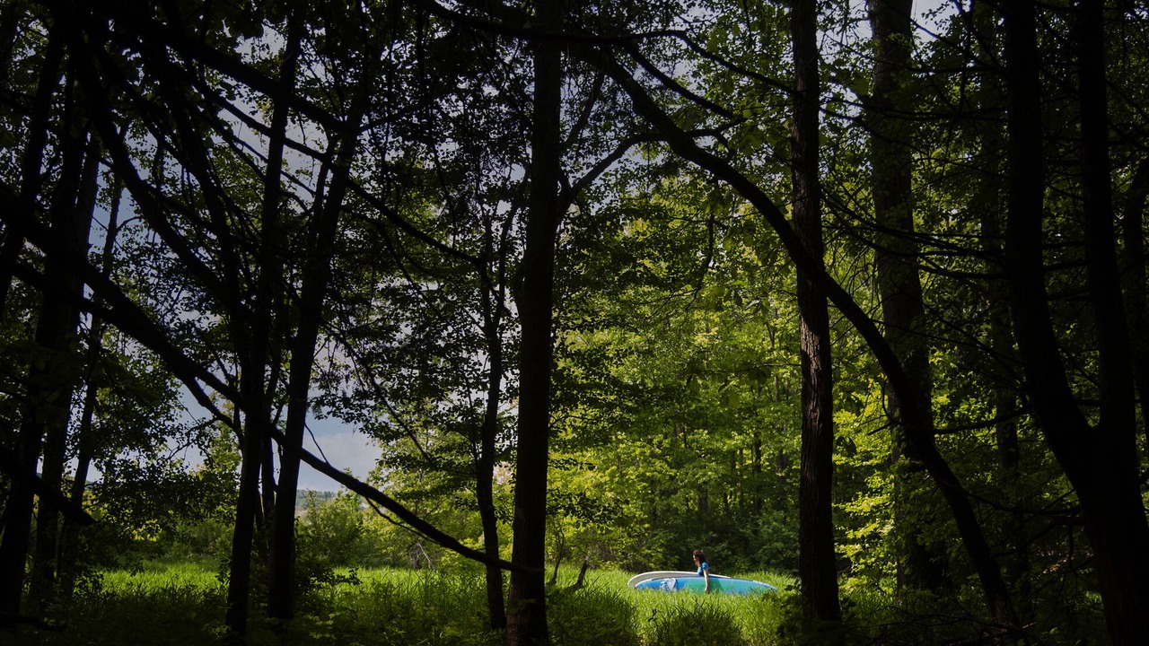 Photo of Outdoor in Grey Highlands