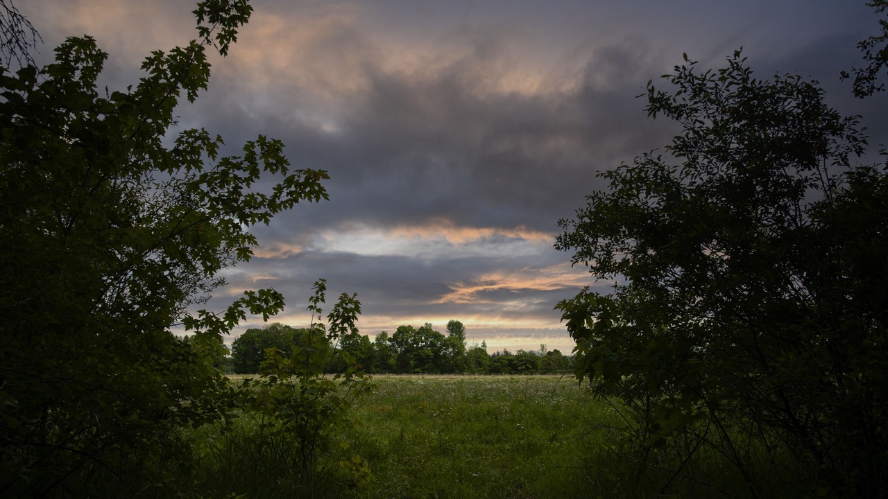 Photo of Outdoor in Grey Highlands