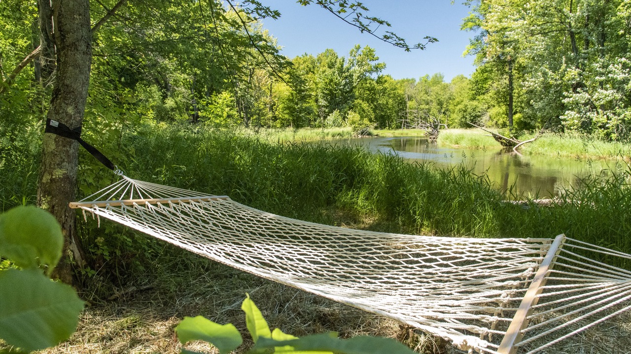 Photo of Outdoor in Grey Highlands