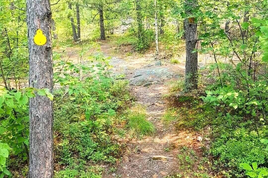 Photo of Outdoor in Sudbury