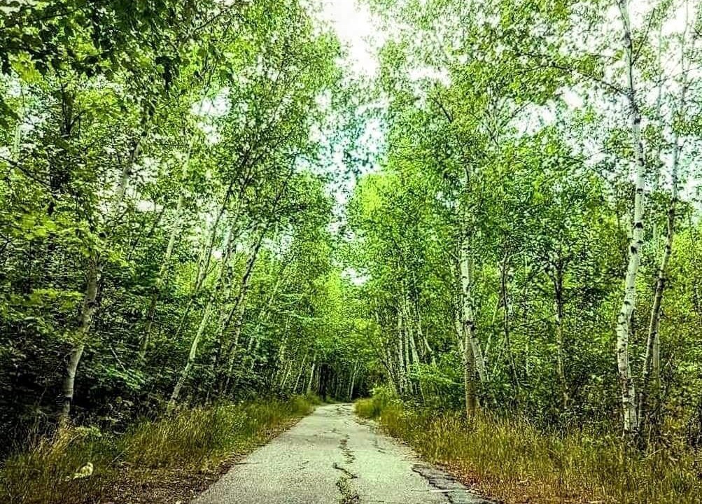 Photo of Outdoor in Sudbury