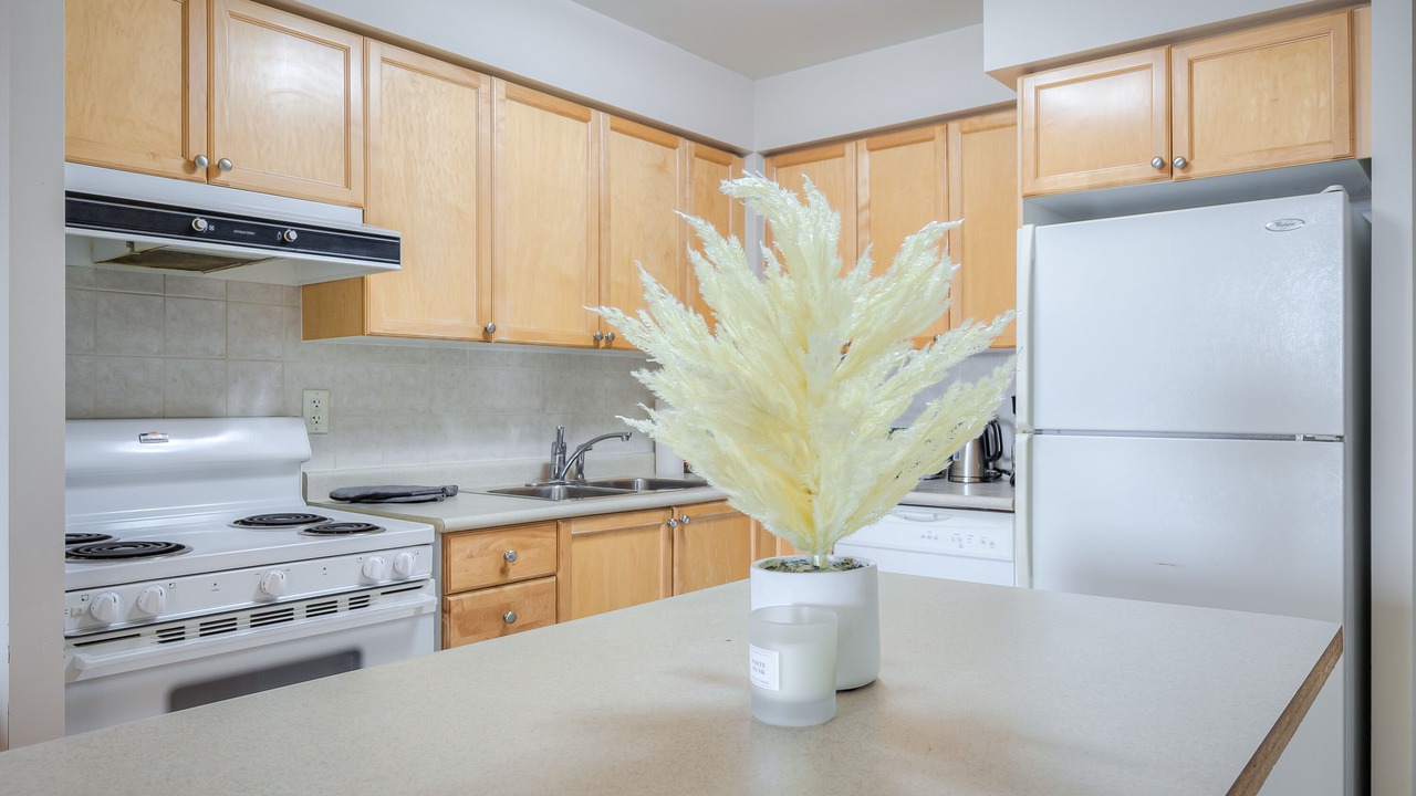 Photo of Kitchen in Downtown Mississauga
