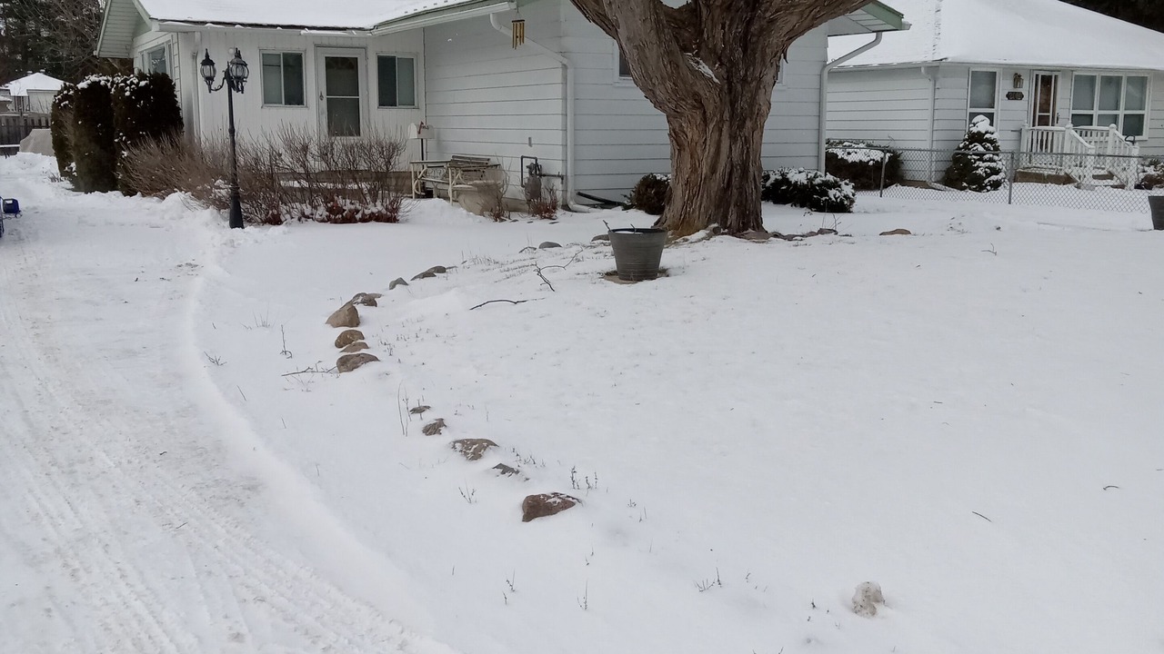 Photo of Outdoor in Alcona