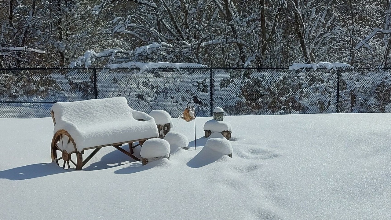 Photo of Outdoor in Innisfil