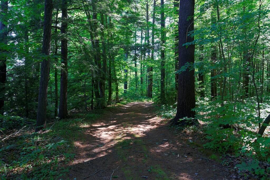 Photo of Outdoor in Milford