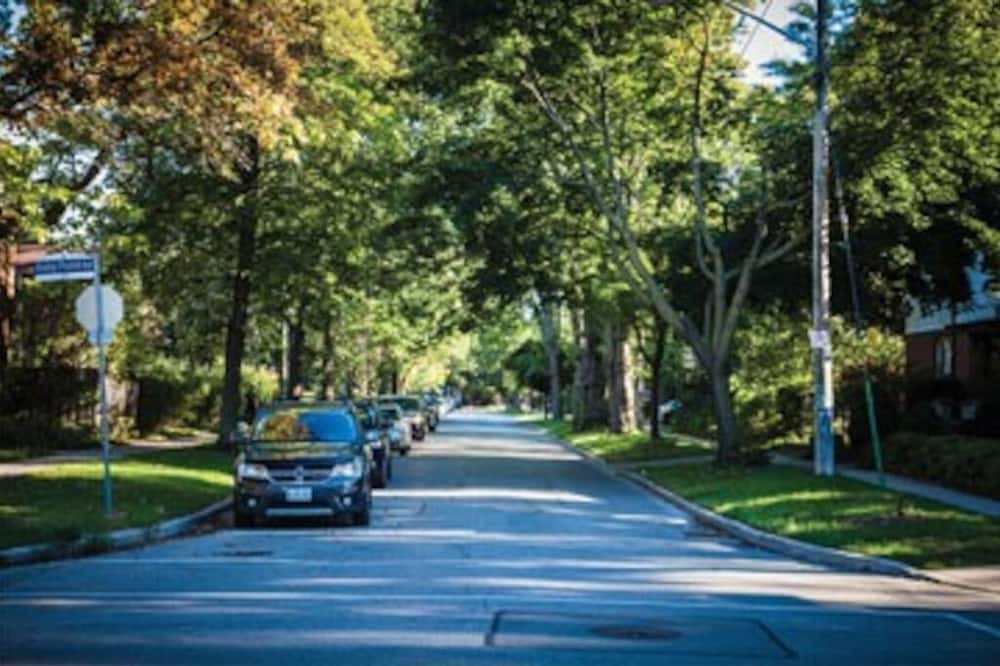 Photo of Outdoor in Sunnylea