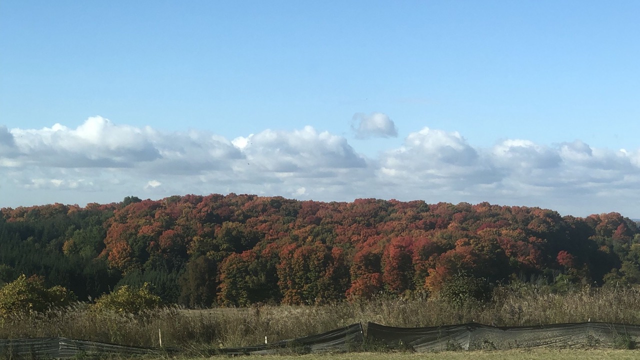 Photo of Outdoor in King
