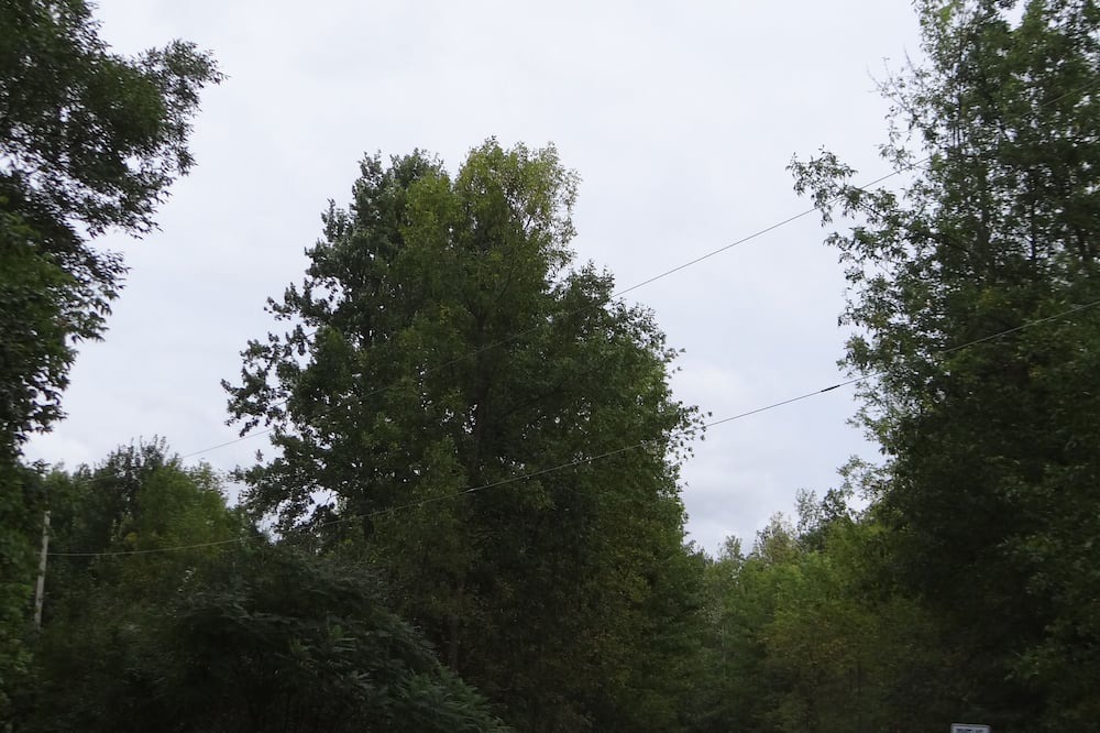 Photo of Outdoor in Elora
