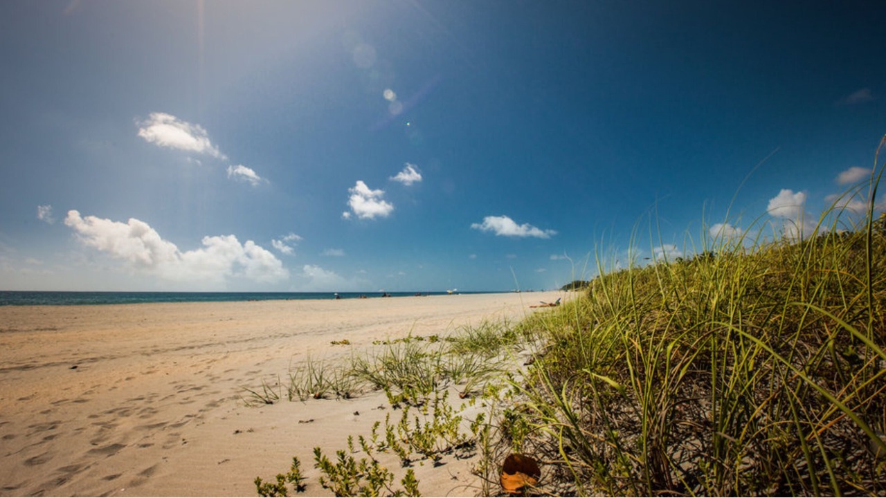 Photo of Others in Ocean Ridge