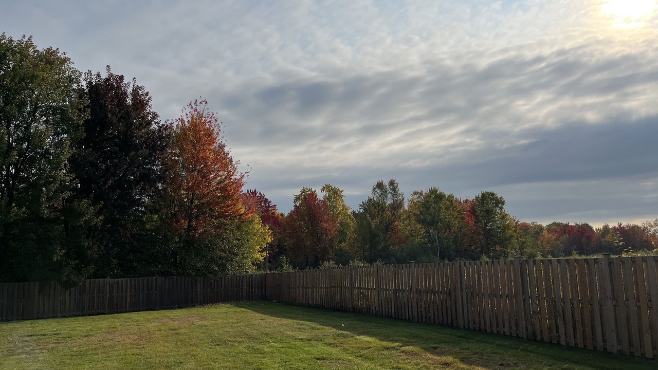 Photo of Outdoor in North Bay