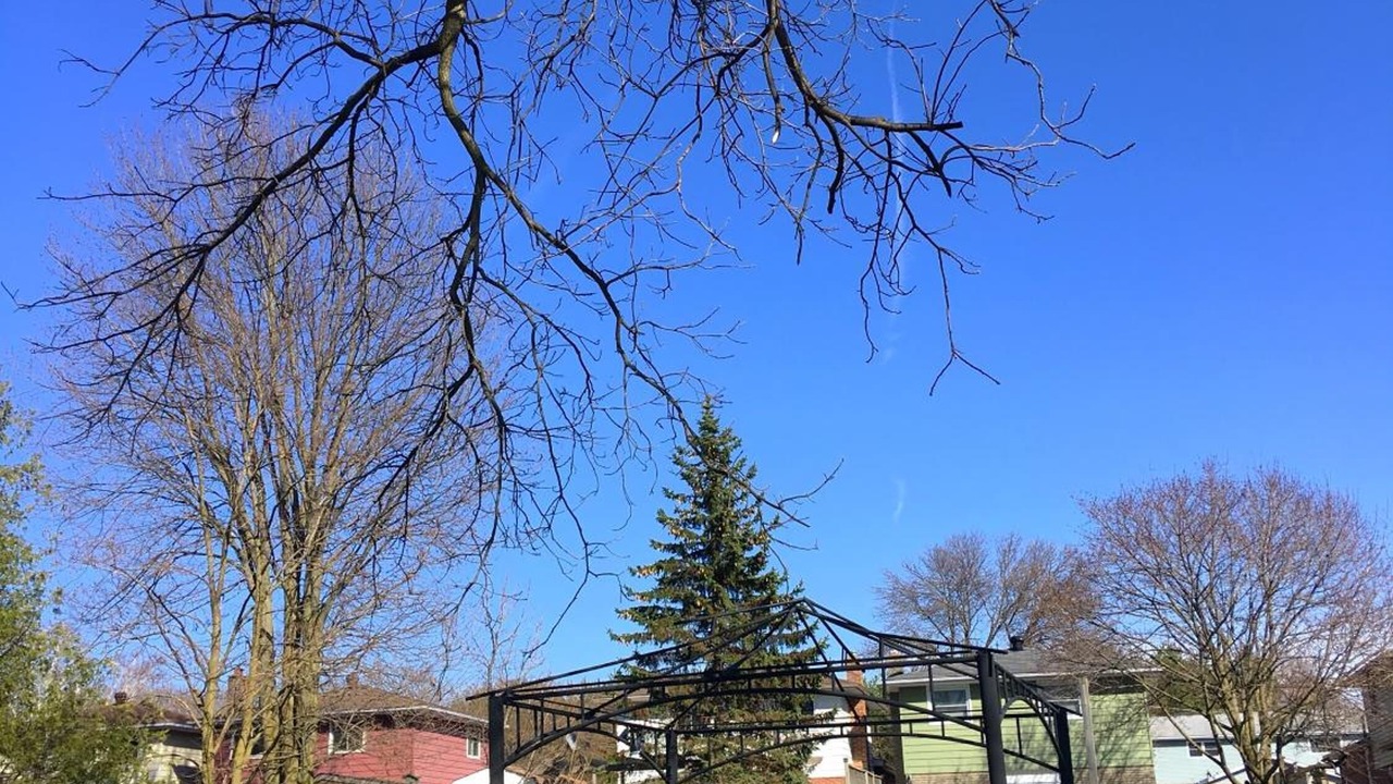 Photo of Outdoor in Port Elgin