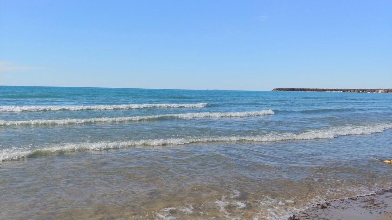 Photo of Others in Port Elgin