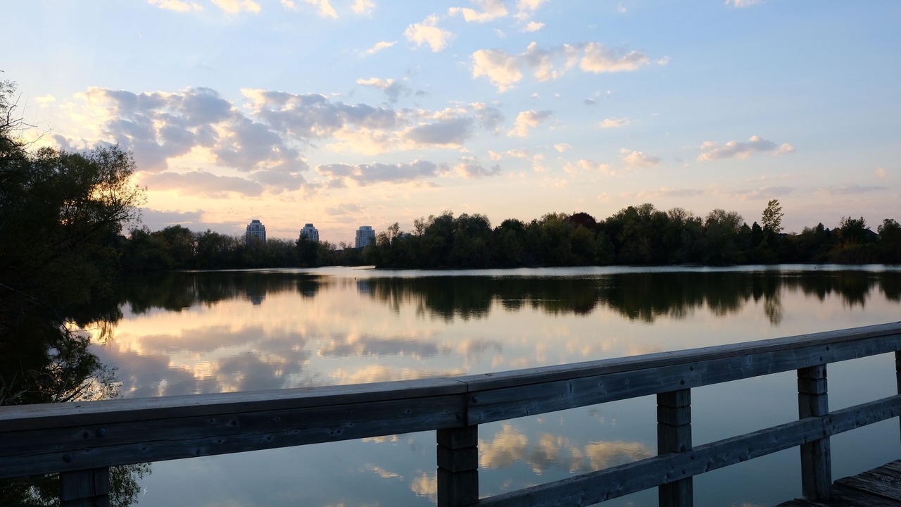 Photo of Others in Markham