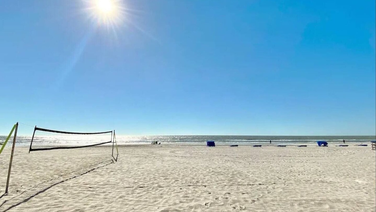 Photo of Others in Indian Shores