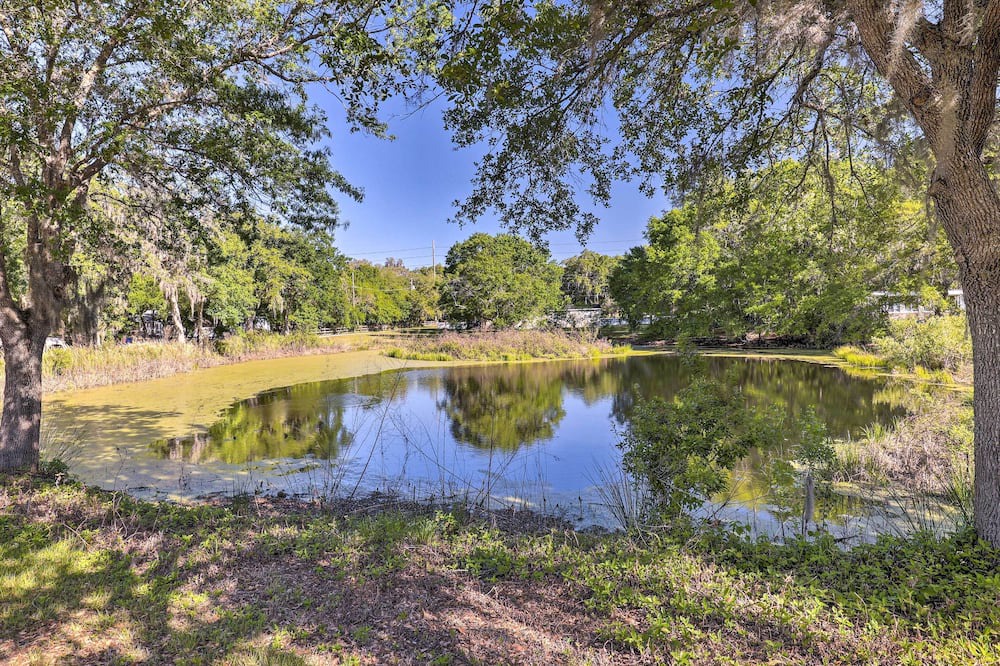 Photo of Outdoor in Valrico