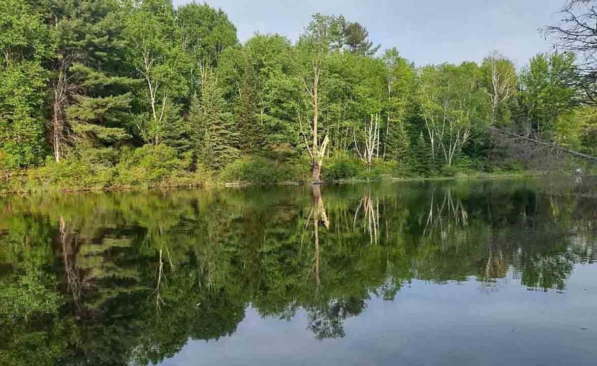 Photo of Outdoor in Nipissing