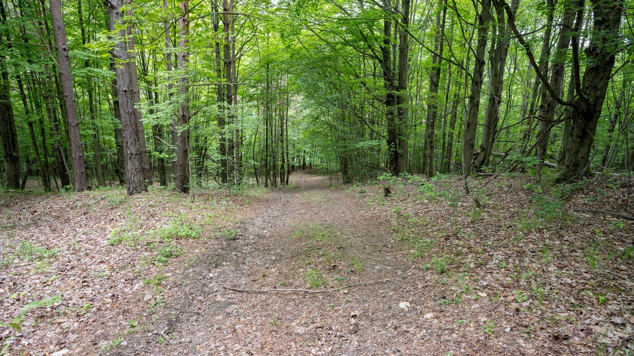 Photo of Outdoor in Cohocton
