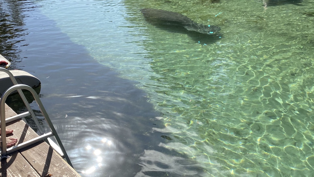Photo of Outdoor in Weeki Wachee Gardens