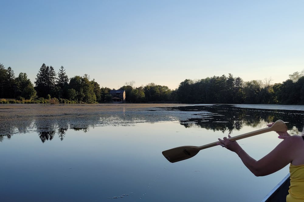 Photo of Others in South Bruce
