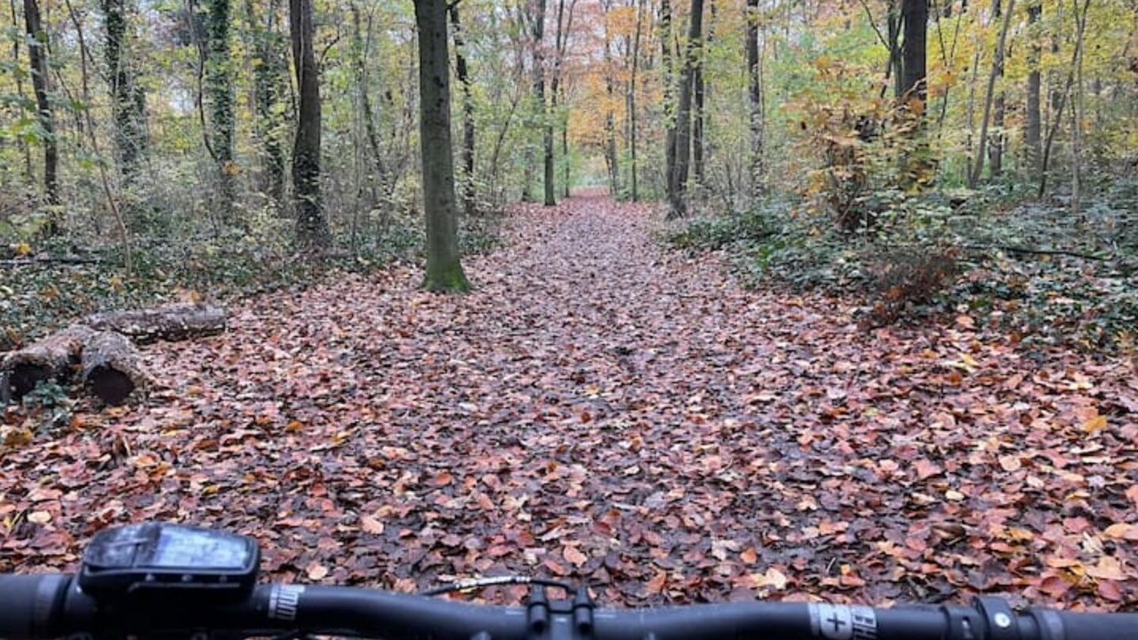 Photo of Outdoor in Bords de Marne