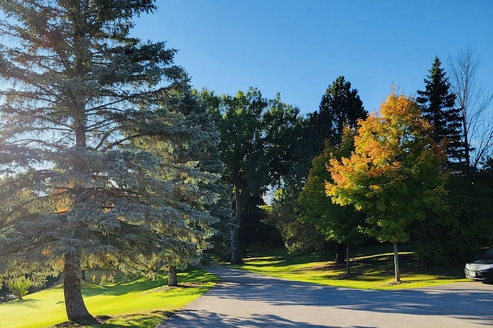 Photo of Outdoor in Caledon