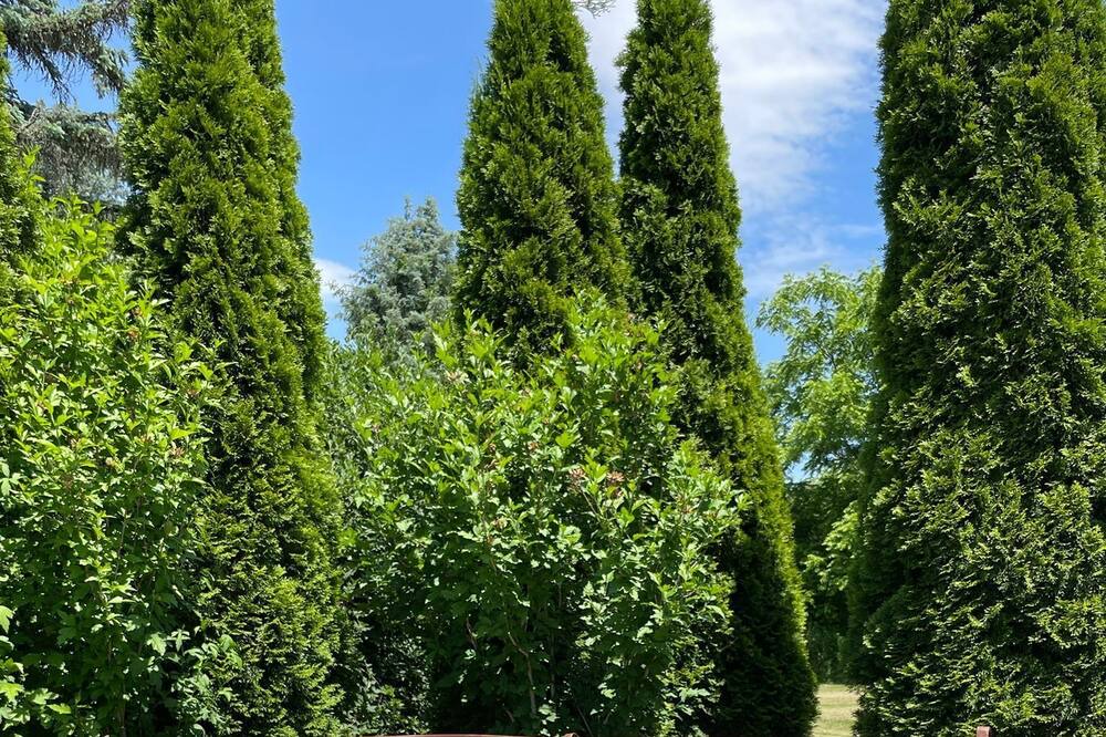 Photo of Outdoor in Caledon