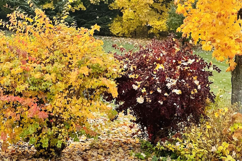 Photo of Others in Caledon