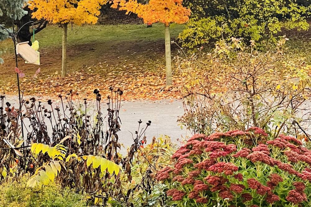 Photo of Outdoor in Caledon