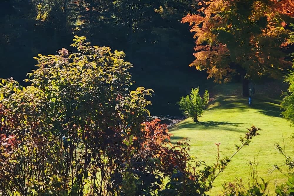 Photo of Others in Caledon