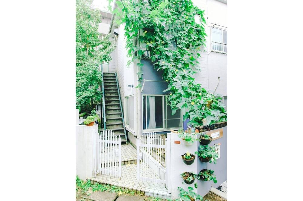Photo of Others in Suginami
