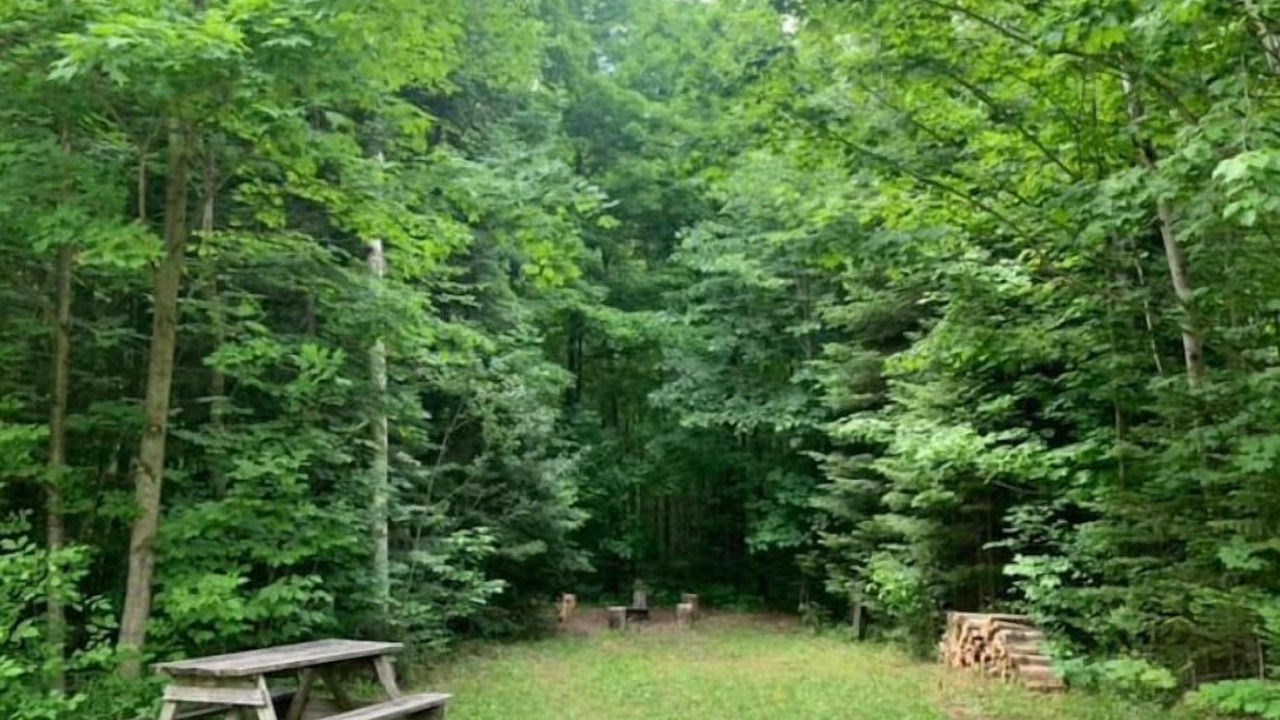 Photo of Outdoor in Southgate