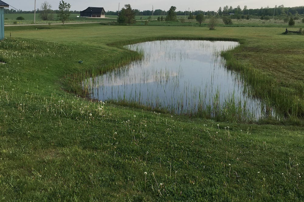 Photo of Outdoor in Southgate