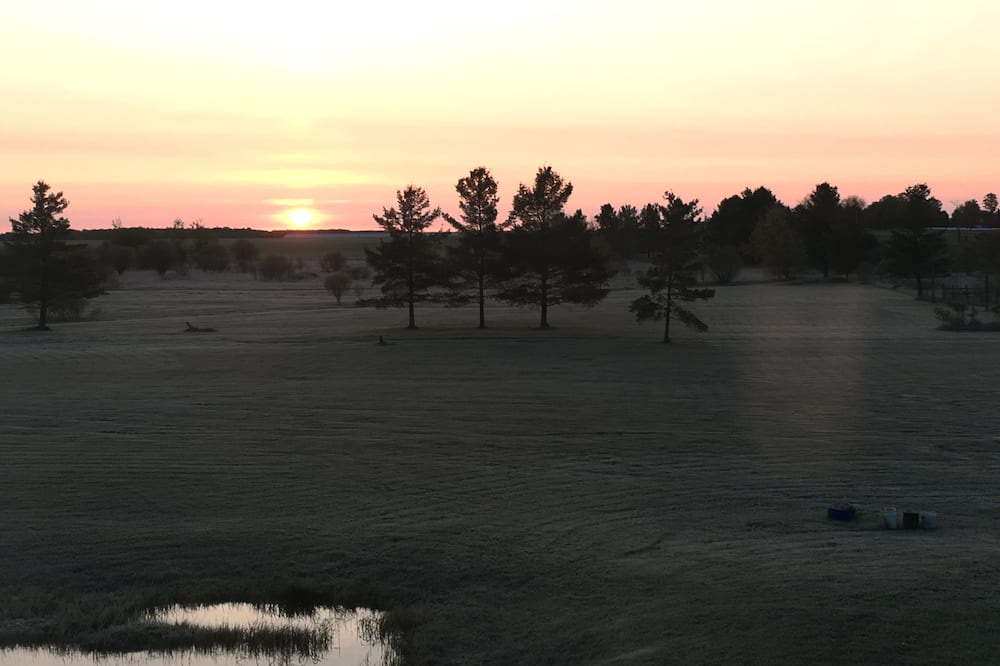 Photo of Outdoor in Southgate