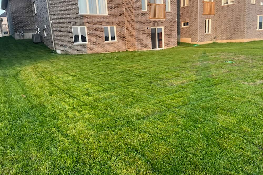 Photo of Outdoor in Orillia