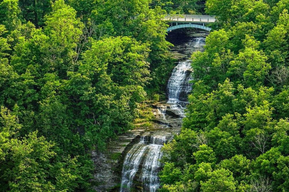 Photo of Others in Montour Falls