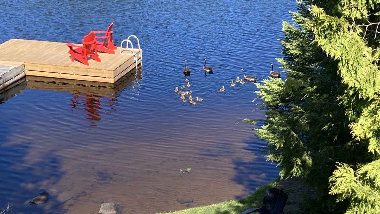 Photo of Outdoor in McKellar