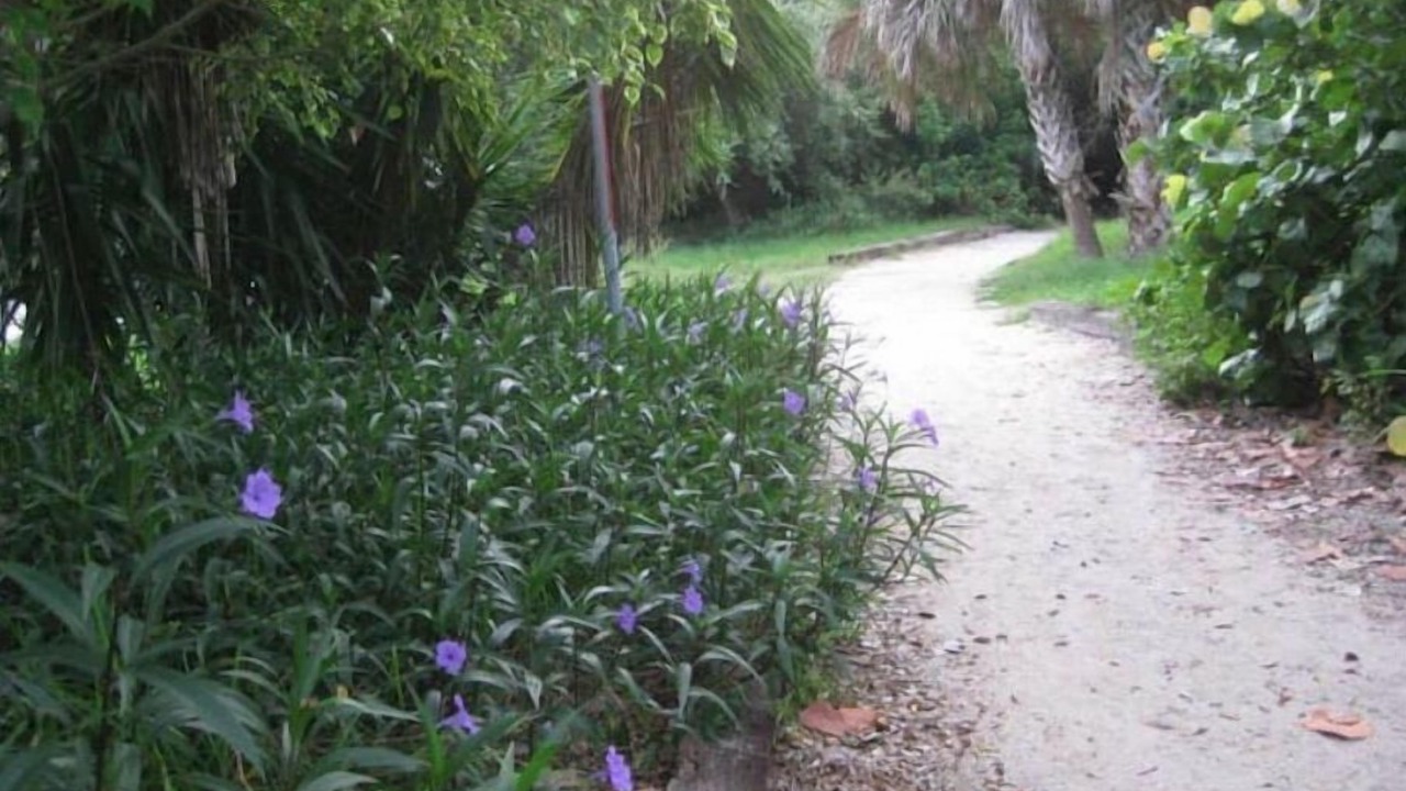 Photo of Outdoor in Ocean Woods