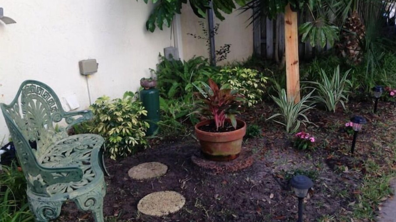 Photo of Outdoor in Ocean Woods