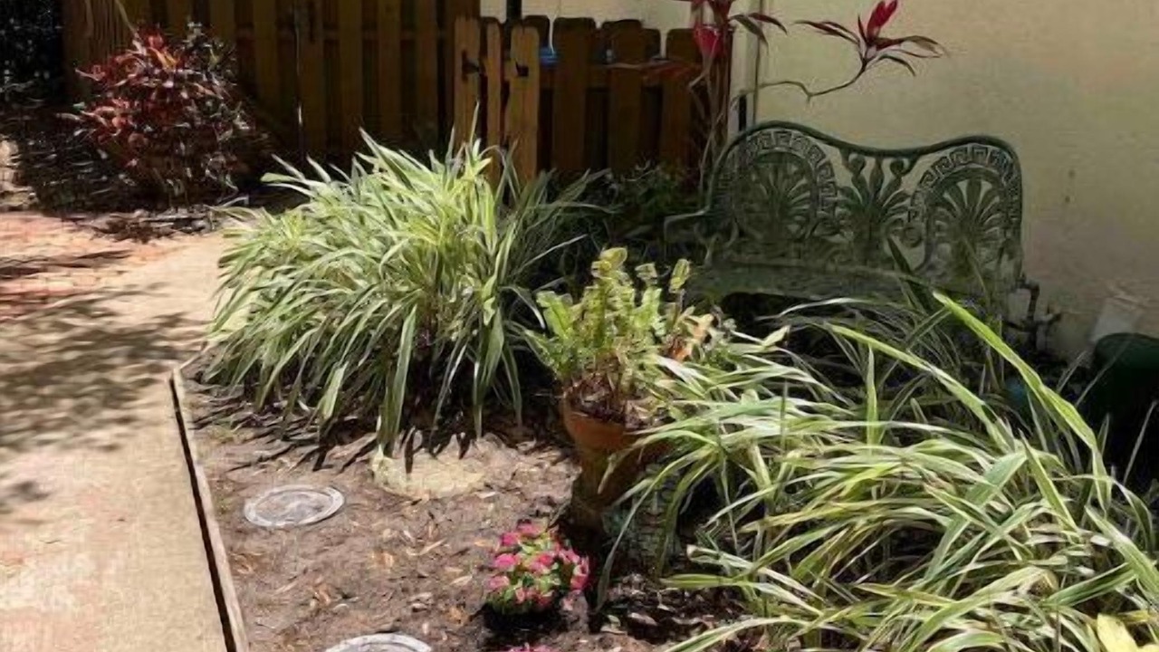 Photo of Outdoor in Ocean Woods