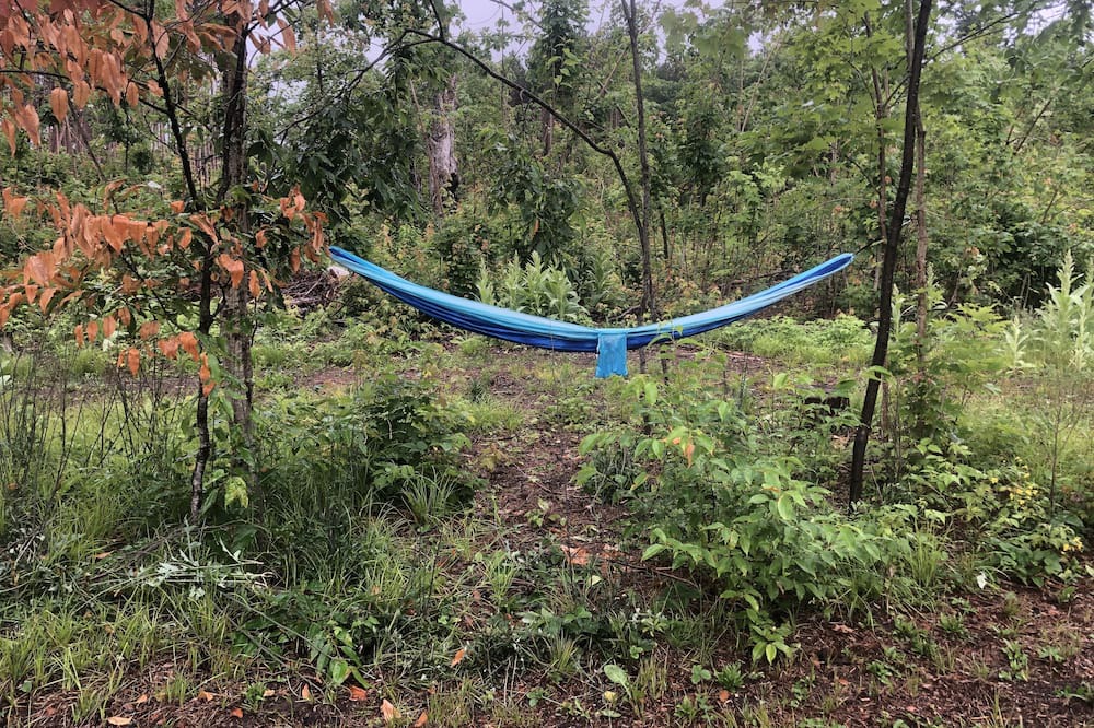 Photo of Outdoor in Scugog