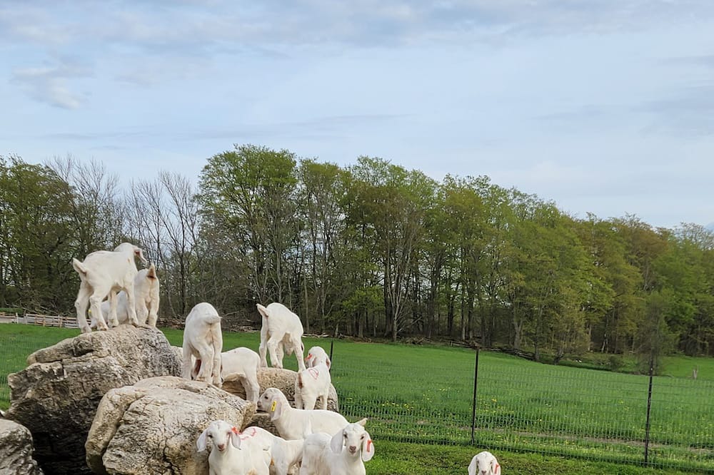 Photo of Others in Kemble