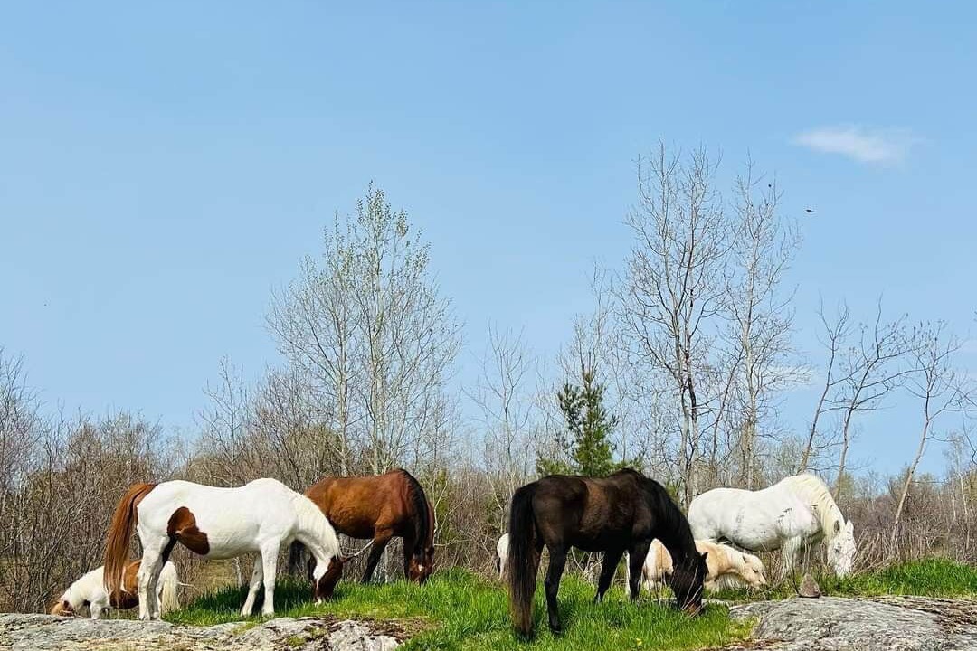 Photo of Outdoor in Joly