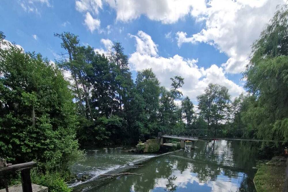 Photo of Others in Tigeaux