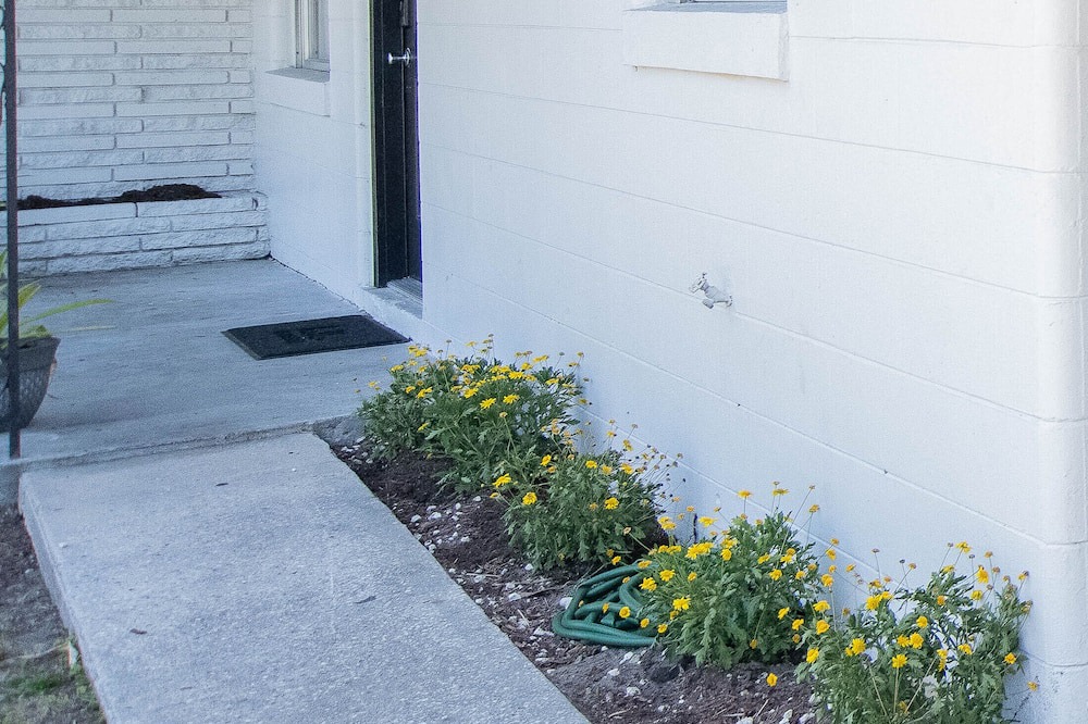 Photo of Outdoor in Winter Haven